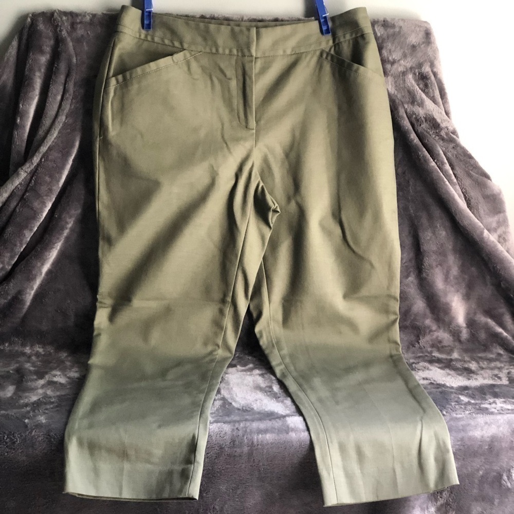𝅺RAFAELLA Curvy Sage Army Green ankle‎ pants size 4P  #p1008